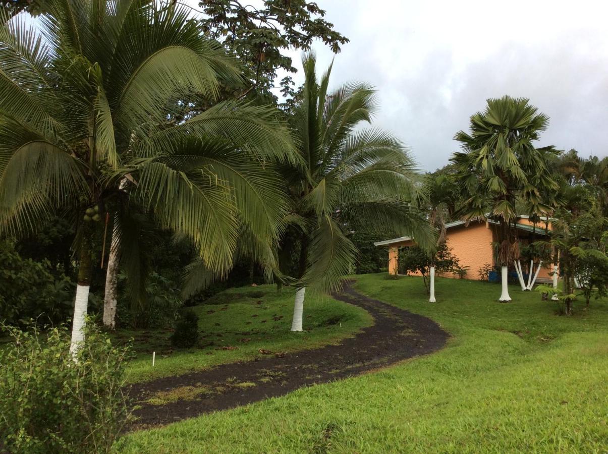 Hotel Confort Arenal